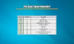PLC Data Tipleri Nelerdir?